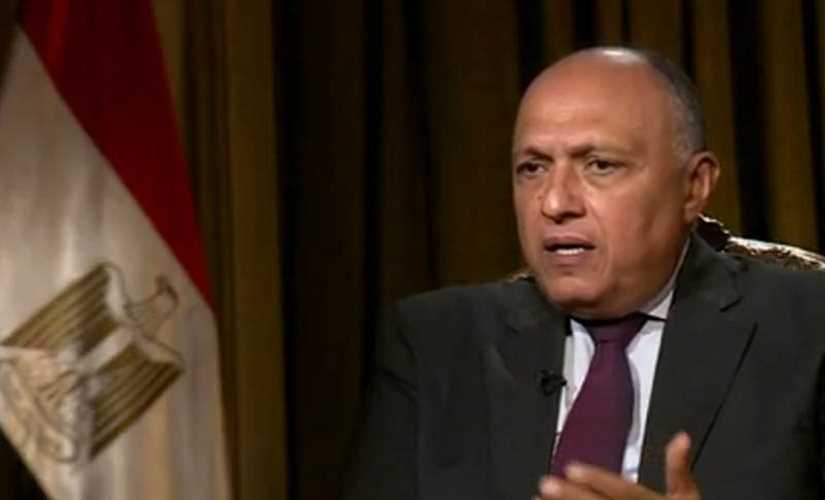 سامح شكري: السياسة المصرية تجاه أفريقيا تغيرت منذ تولي الرئيس السيسي الحكم