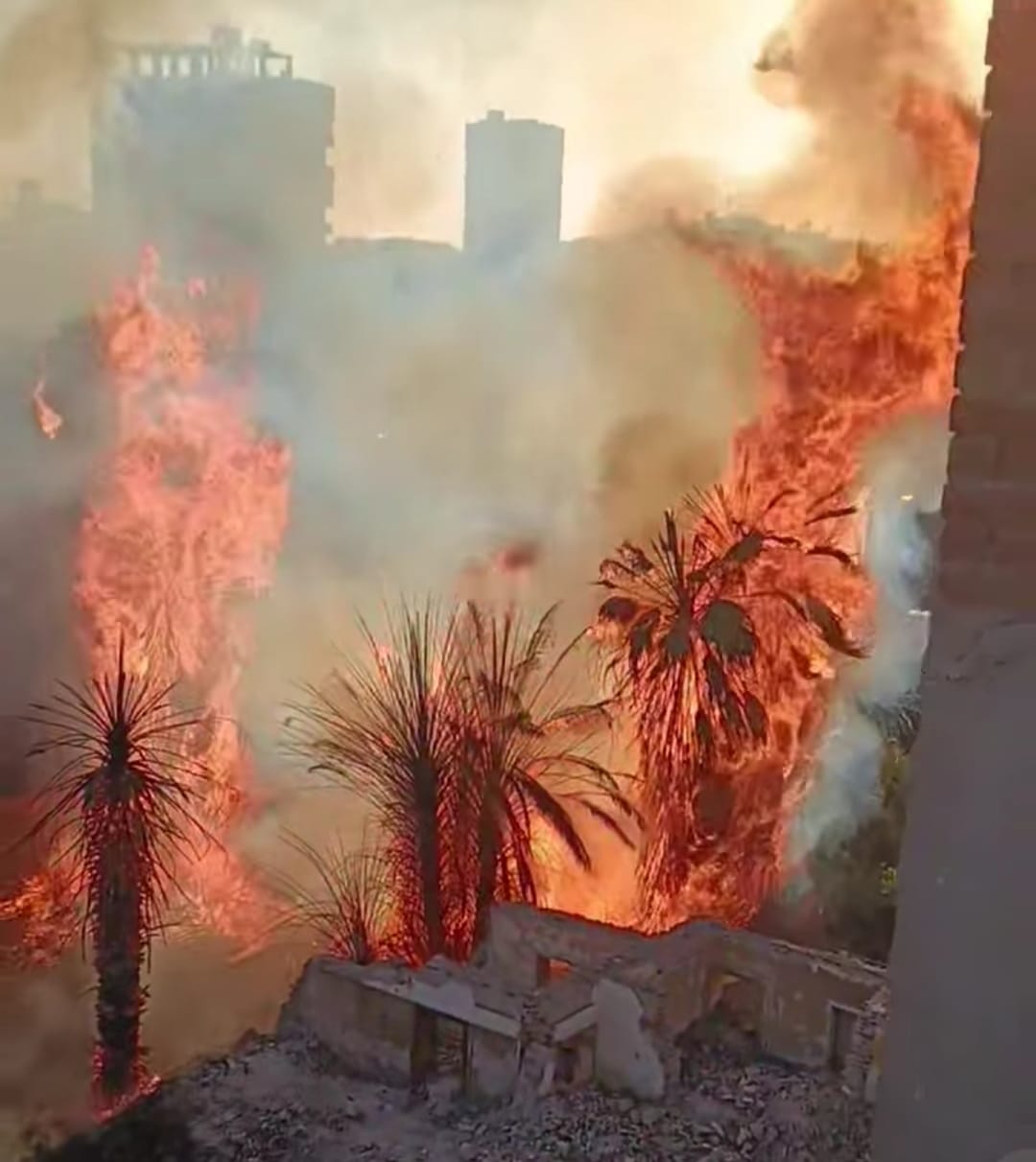 حريق بحديقة مدرسة قديمة