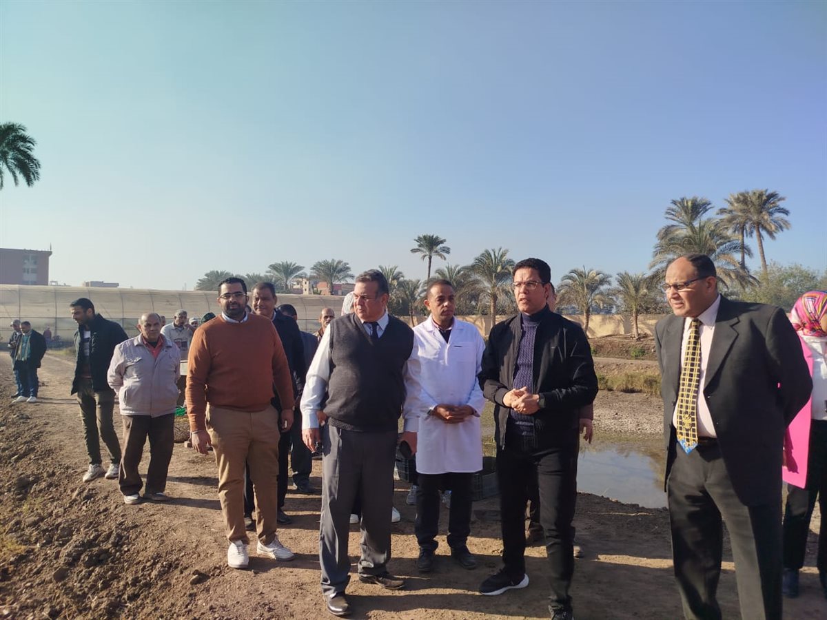 تفقد الوحدات الإنتاجية