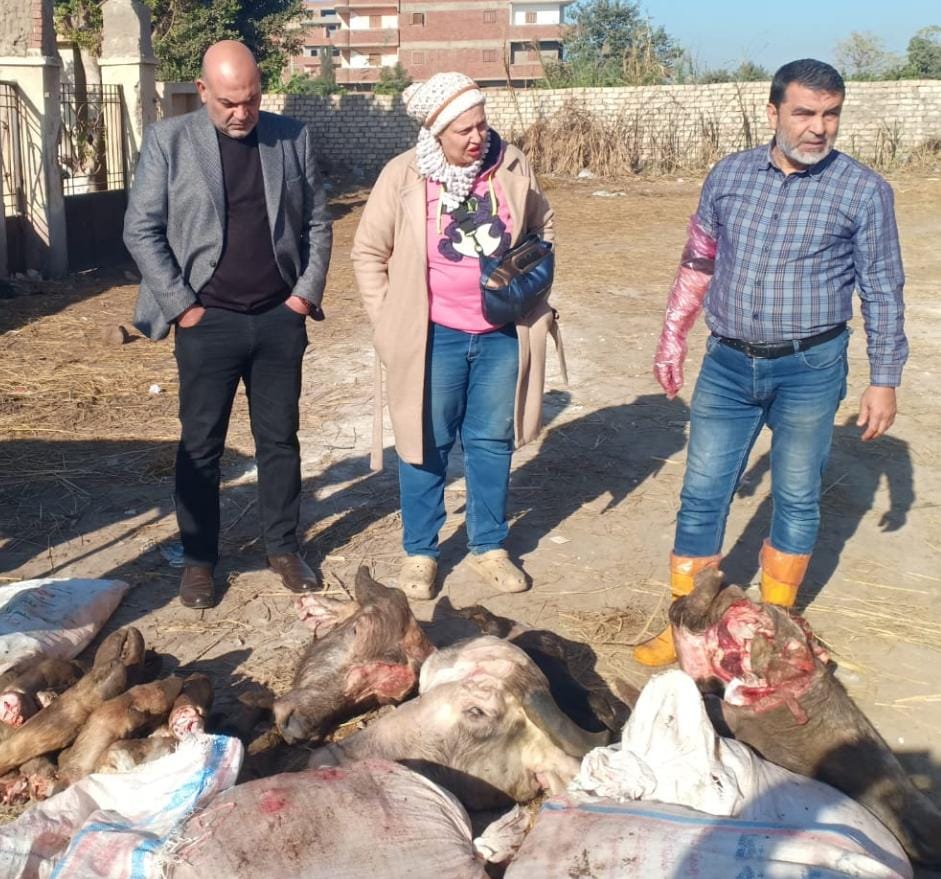 جانب من الحملة