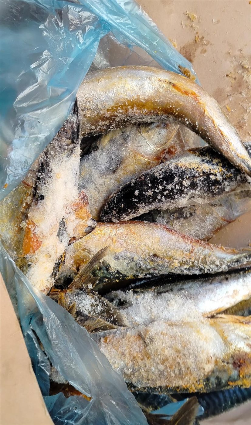 أسماك مجهولة المصدر