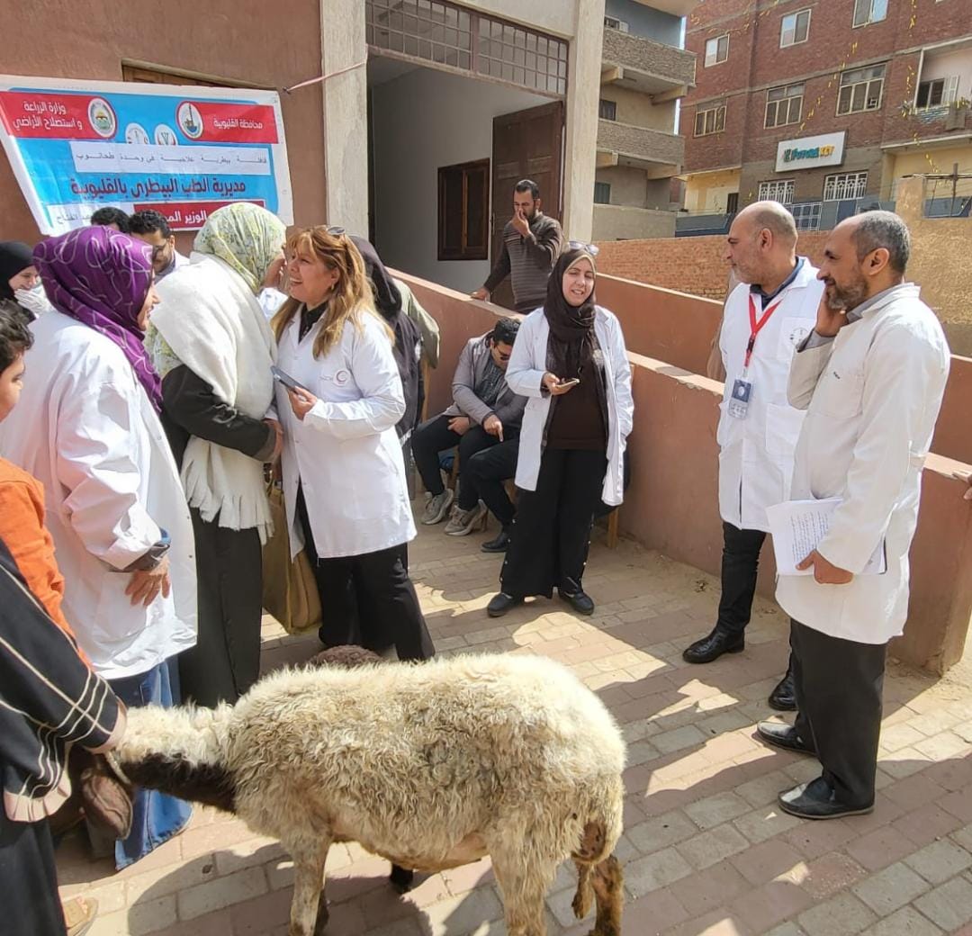 قافلة بيطرية