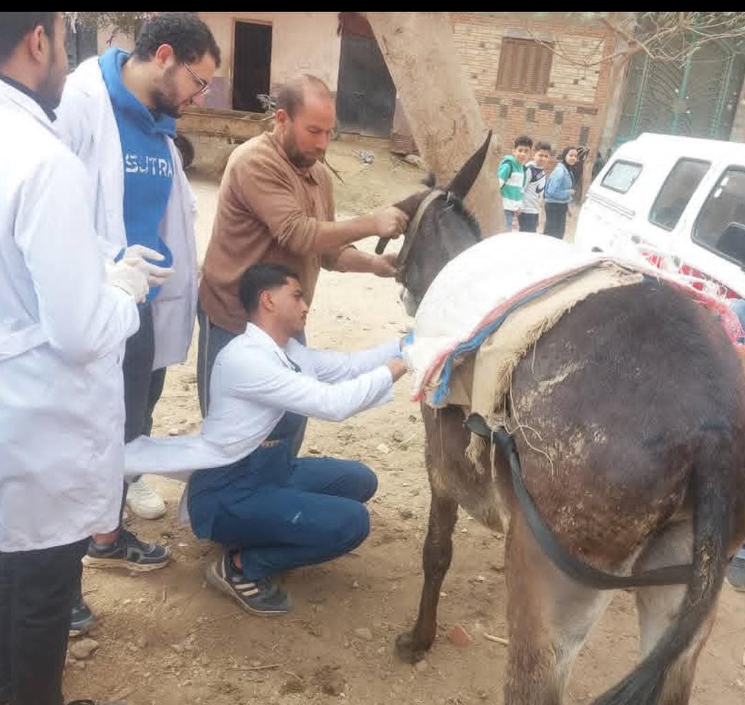 قافلة بيطرية مجانية