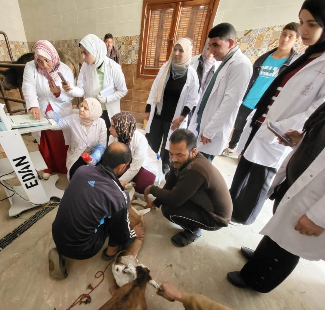 قافلة بيطرية بشبين القناطر