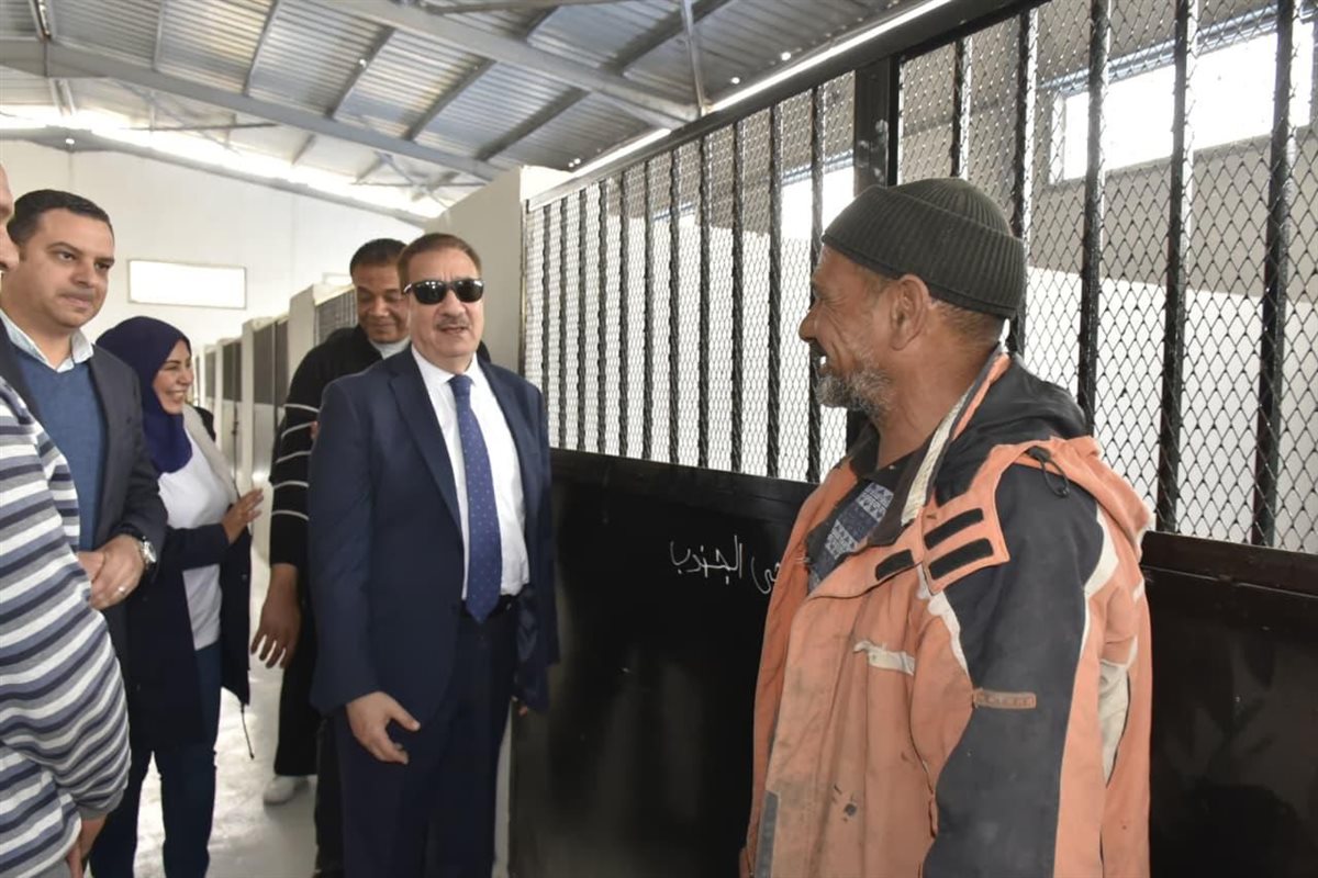 شلتر الكلاب الضالة ببورسعيد