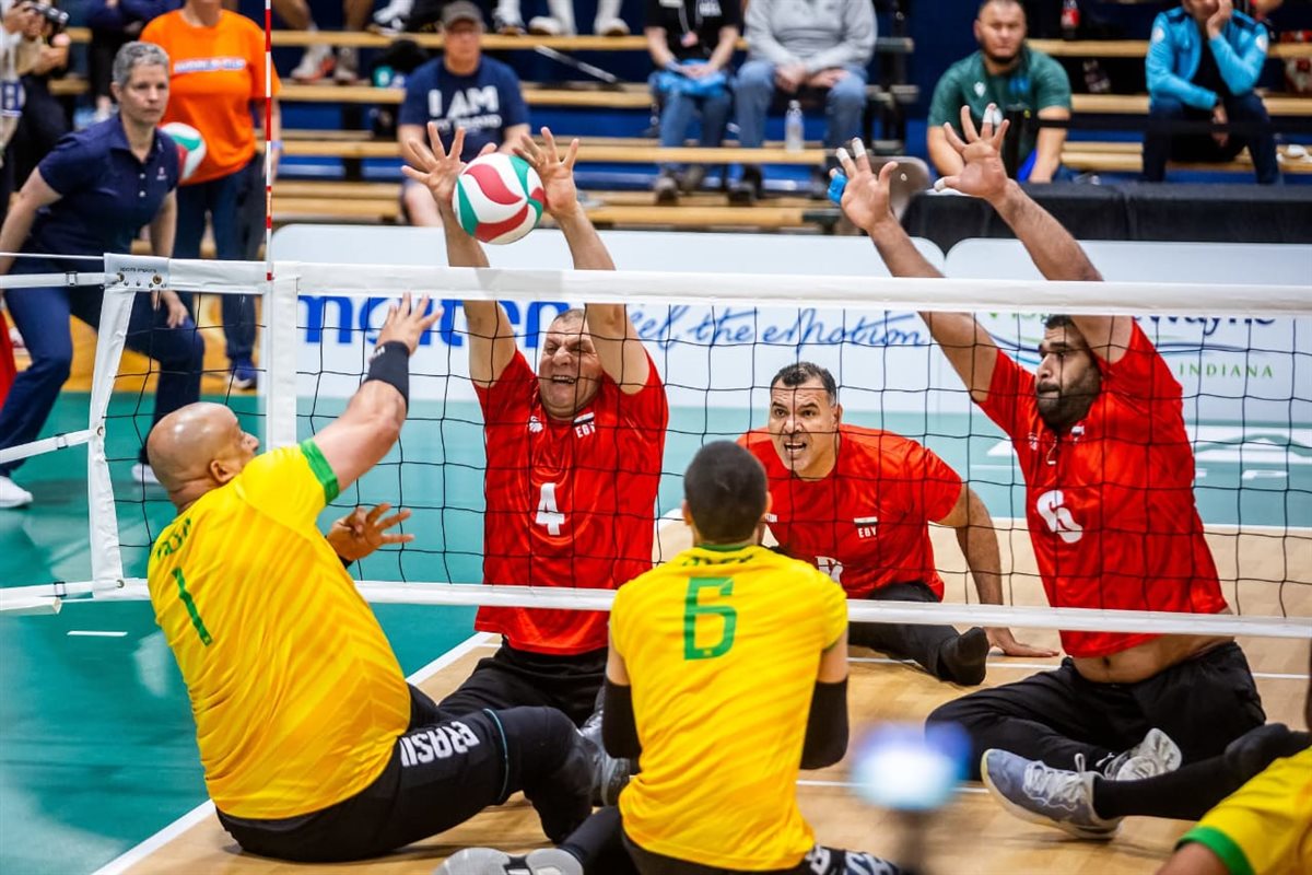 منتخب مصر للكرة الطائرة البارالمبي&nbsp;