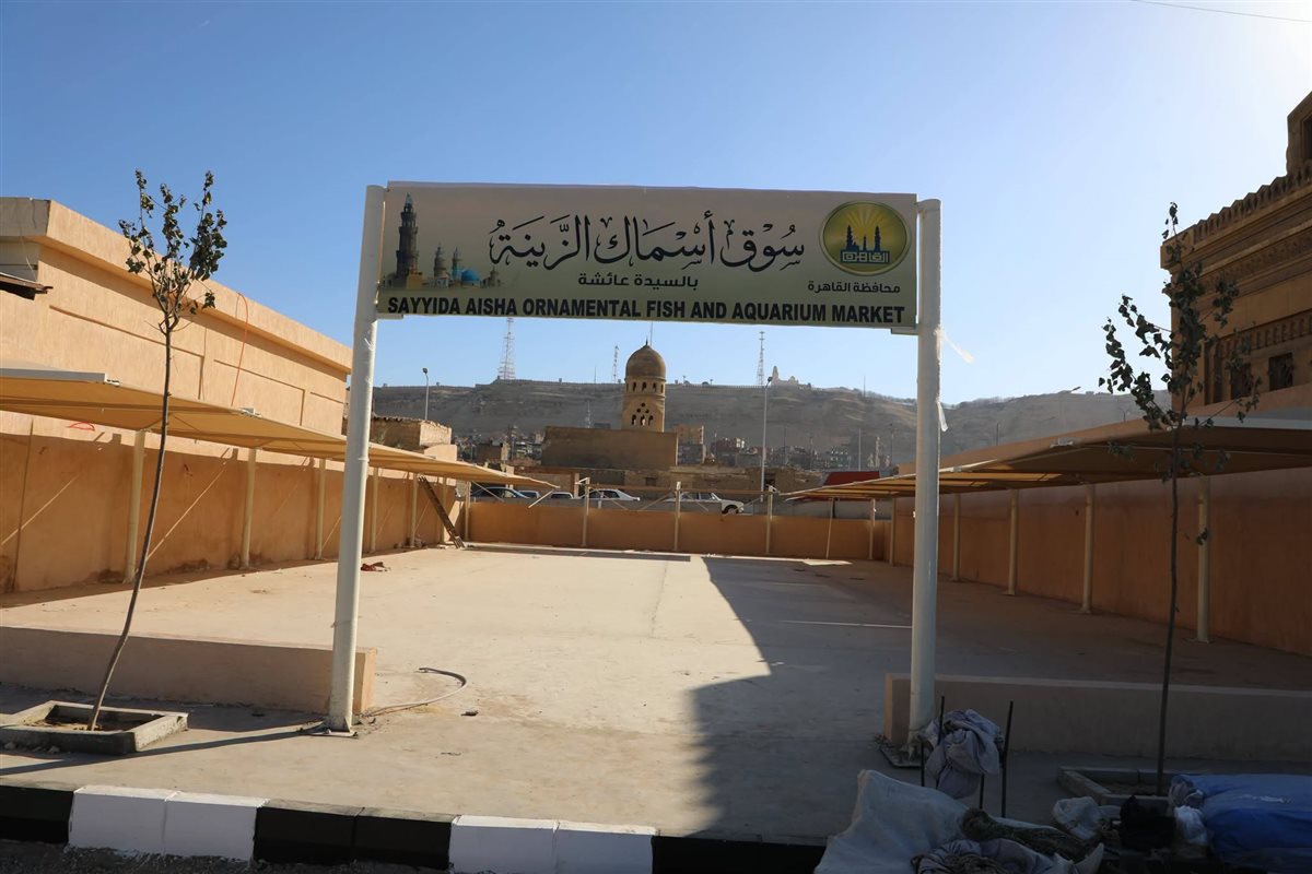 سوق الحمام الجديد يرى النور