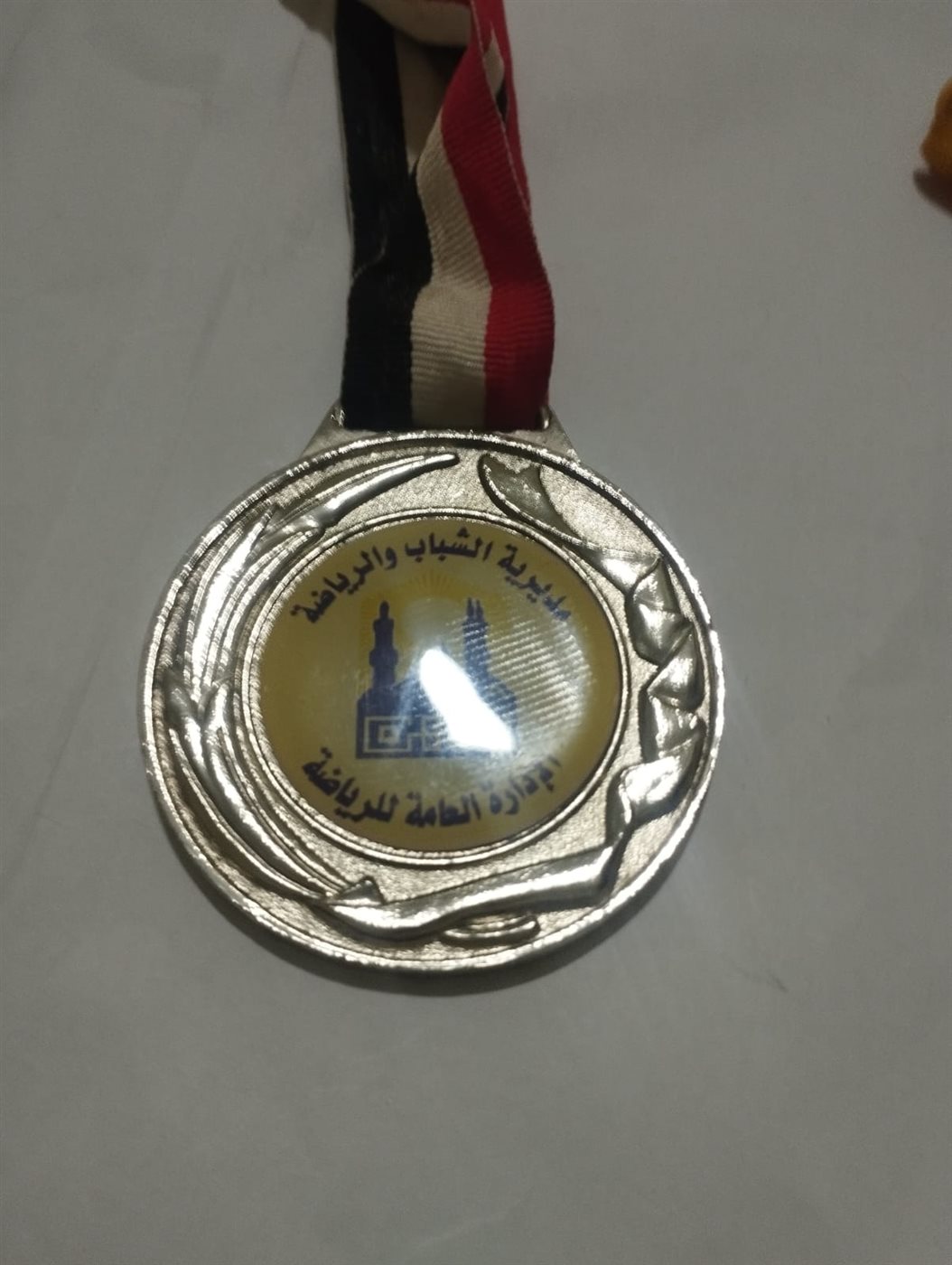محمد حسن فراج دي بطل الريشة الطائرة البارالمبي