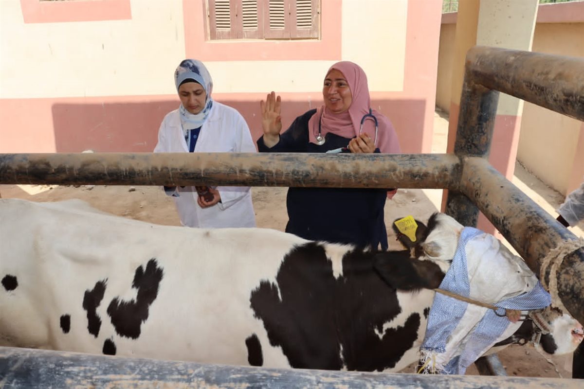 قافلة بيطرية