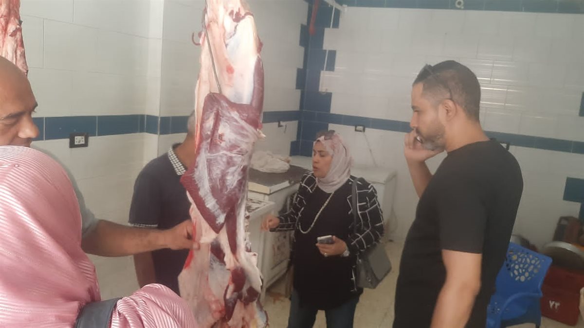 حملة شبرا الخيمة&nbsp;