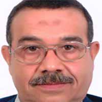 لواء أركان حرب/ جمال عمر