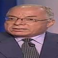 حلمى النمنم 