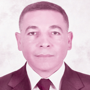 اللواء: محمود حسنين