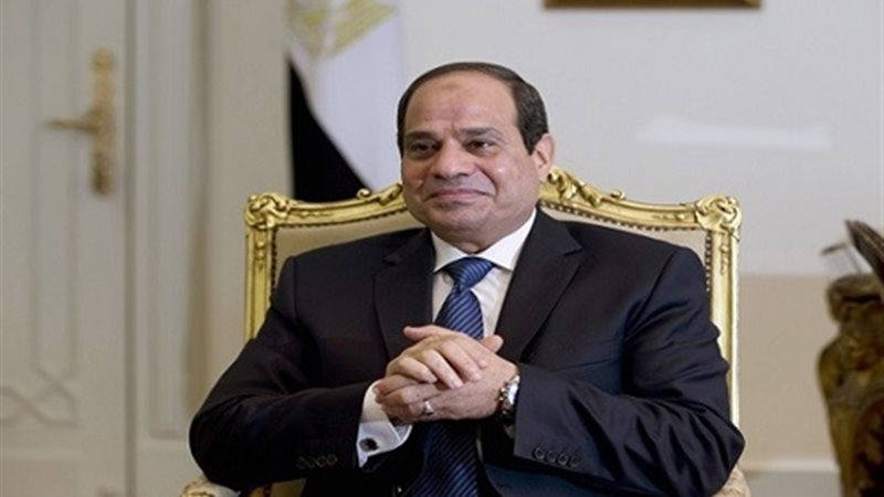 السيسي يستقبل عضو