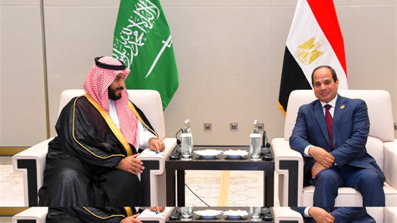 السيسي يلتقى ولي