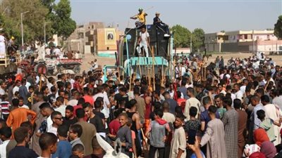 شاهد بالصور أهالي الأقصر يحتفلون بالمولد النبوي بالمواكب والمرماح والتحطيب