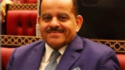 برلمانى: مصر تخوض معركة البناء والتنمية للعبور لجمهورية الجديدة وتوفير حياة كريمة