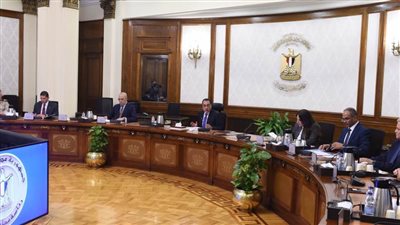 مدبولي يبحث سبل توطين صناعة الطلمبات مع 