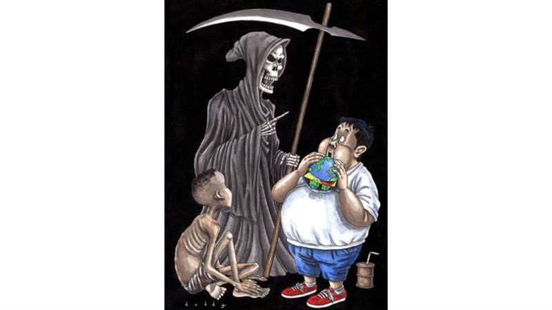 بوابة روز اليوسف