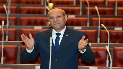 النائب عمرو عكاشة: المجلس الأعلى لصناعة السيارات يهدف لتنمية الصناعة بمصر