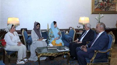 مصر والإمارات تبحثان سبل تعزيز التعاون المشترك في مجال التعليم