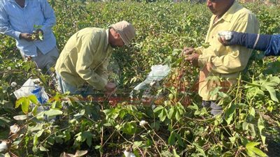 أبواليزيد: يكشف لـ 