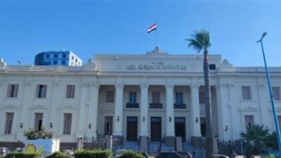 السجن المؤبد لحلاق قتل زوجته بالإسكندرية 