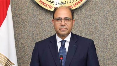 الخارجية: مصر لم توفد أي مراقبين لمتابعة استفتاءات تم تنظيمها في أوكرانيا مؤخرًا