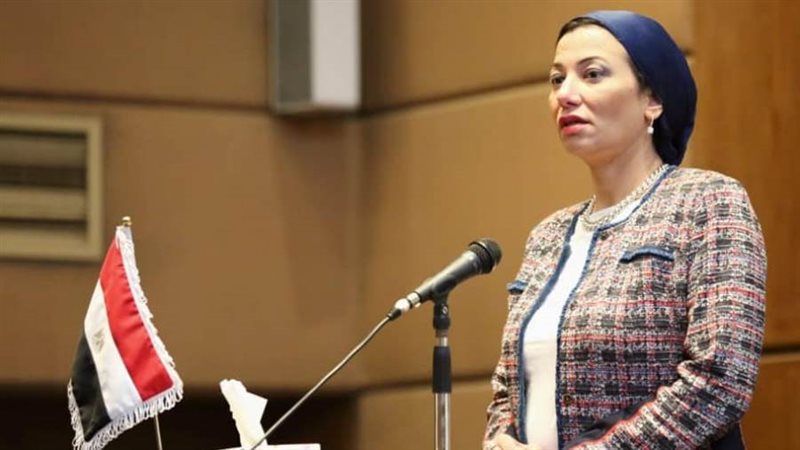 د. ياسمين فؤاد وزيرة