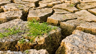 مخاطر الكوارث وارتباطها بتغير المناخ في ورشة عمل خاصة للإعلام العربي