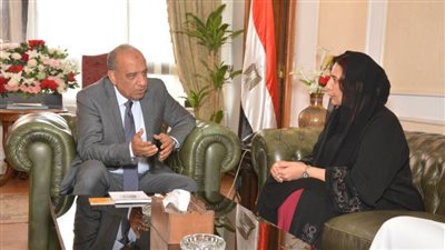 وزير قطاع الأعمال يبحث مع سفيرة الإمارات بالقاهرة تعزيز التعاون الاقتصادي والاستثماري