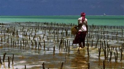 مشروع أممي لتمكين المرأة الريفية وبناء قدرتها على الزراعة الذكية مناخيا