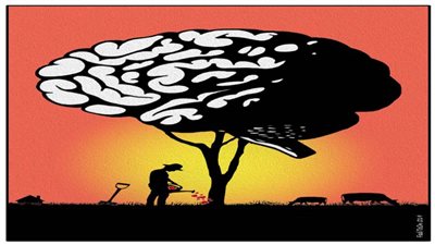 #الريشة_في_مواجهة_التغيرات_المناخية 