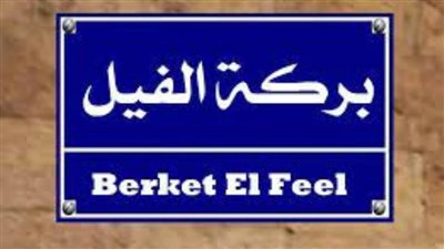 ١٢٣ عامًا على ميلاد ابن 