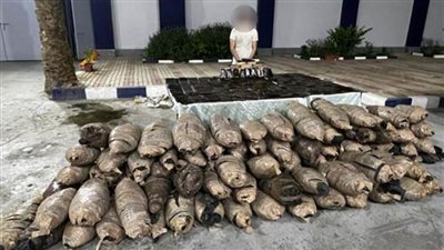 ضبط 288 كيلو جراما لمخدر الحشيش بحوزة أحد الأشخاص بالسويس 