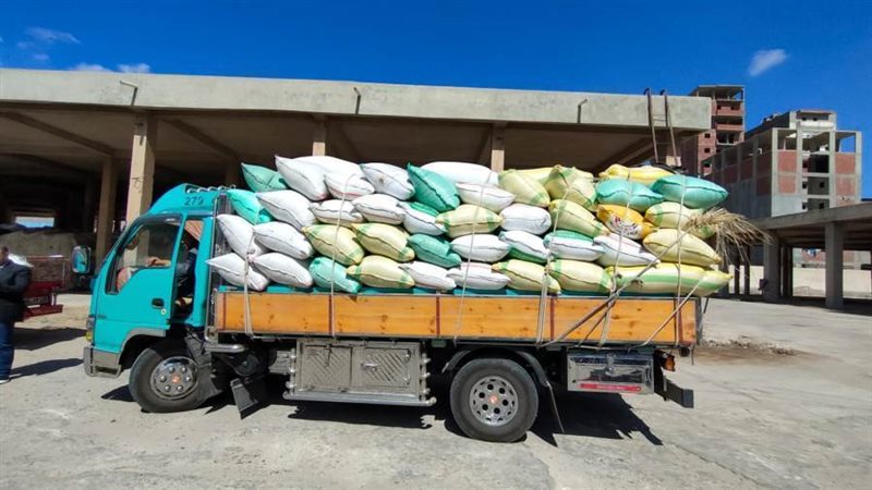 جانب من المضبوطات