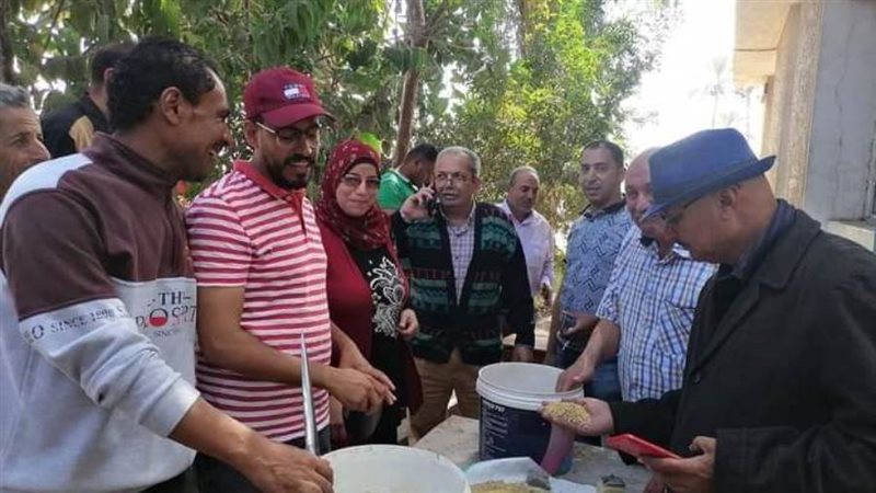 توريد الأرز