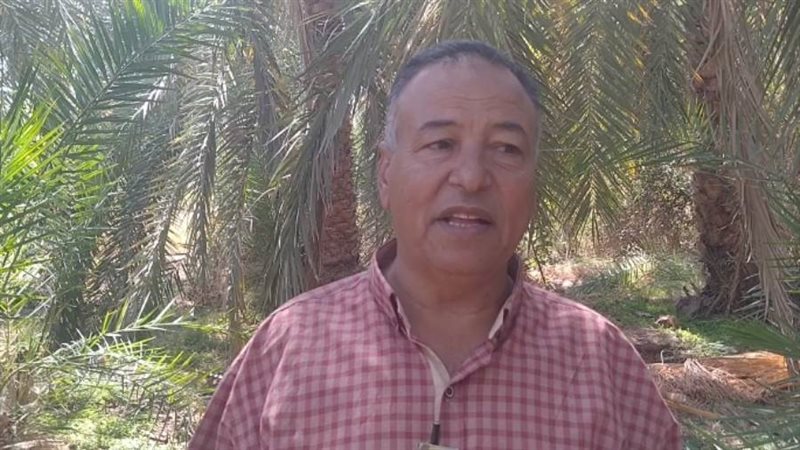 شيخ البلد .. وتعريف