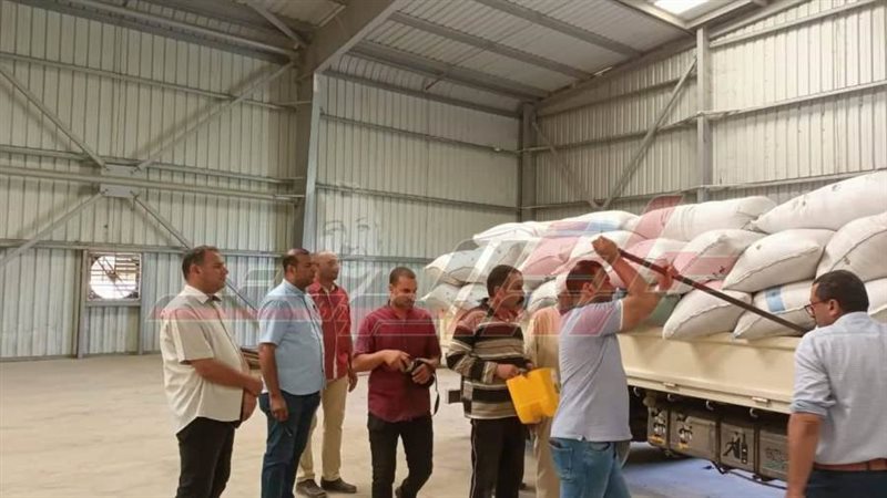 توريد القمح