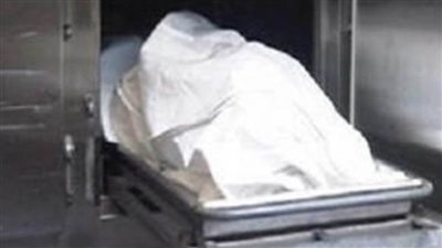 مصرع طالب فى حادث تصادم بالطريق الدائرى فى قليوب