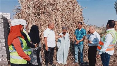 ندوات توعية وجهود مكثفة لإدارة المخلفات الصلبة لمواجهة ظاهرة الحرق المكشوف بأسيوط 