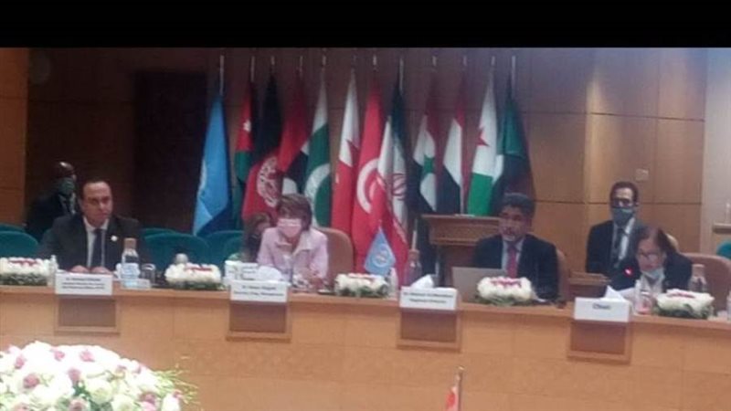 السبكي في اجتماع