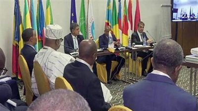    سفير مصر بالجابون: الدبلوماسية والوساطة وتسوية المنازعات أساسية لصيانة الأمن والسلم بوسط إفريقيا