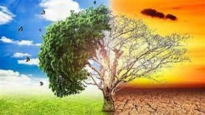 خبير مناخي: ارتفاع درجات الحرارة يؤثر بشكل مباشر على البيئة وزيادة الانبعاثات