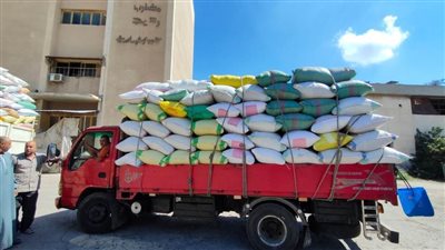انتظام أعمال توريد محصول الأرز بمحافظة البحيرة