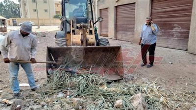 رفع 2009 طن مخلفات بـ14 مركزاً ومدينة بكفر الشيخ