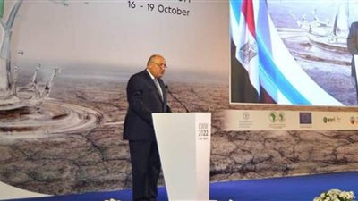 وزير الخارجية: مصر كرست جهودها لتحقيق الهدف السادس من أهداف التنمية المستدامة المعني بالمياه