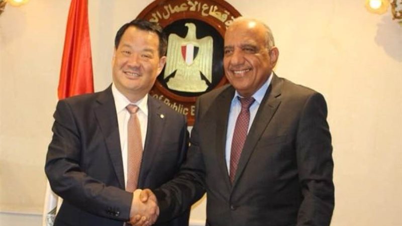 وزير قطاع الأعمال