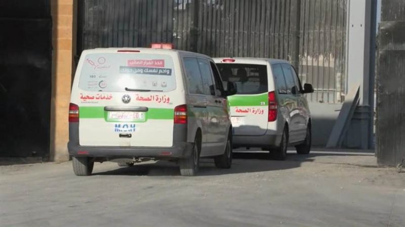 الوفد الطبي المصري