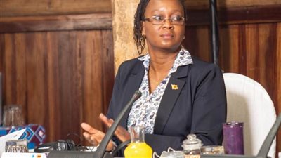 زيمبابوي تسعى للاستفادة من الخبرات المصرية في مجالي صناعة الأسمدة والبرمجيات